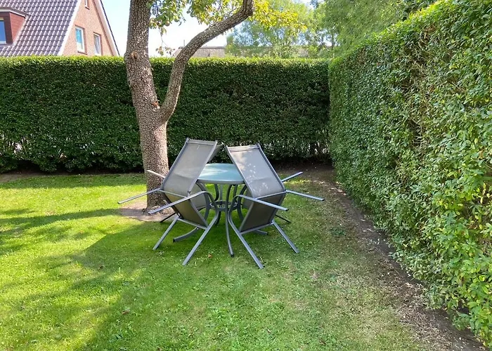 Silbermoewe_herrenhof Wrixum